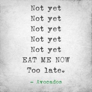 avocado